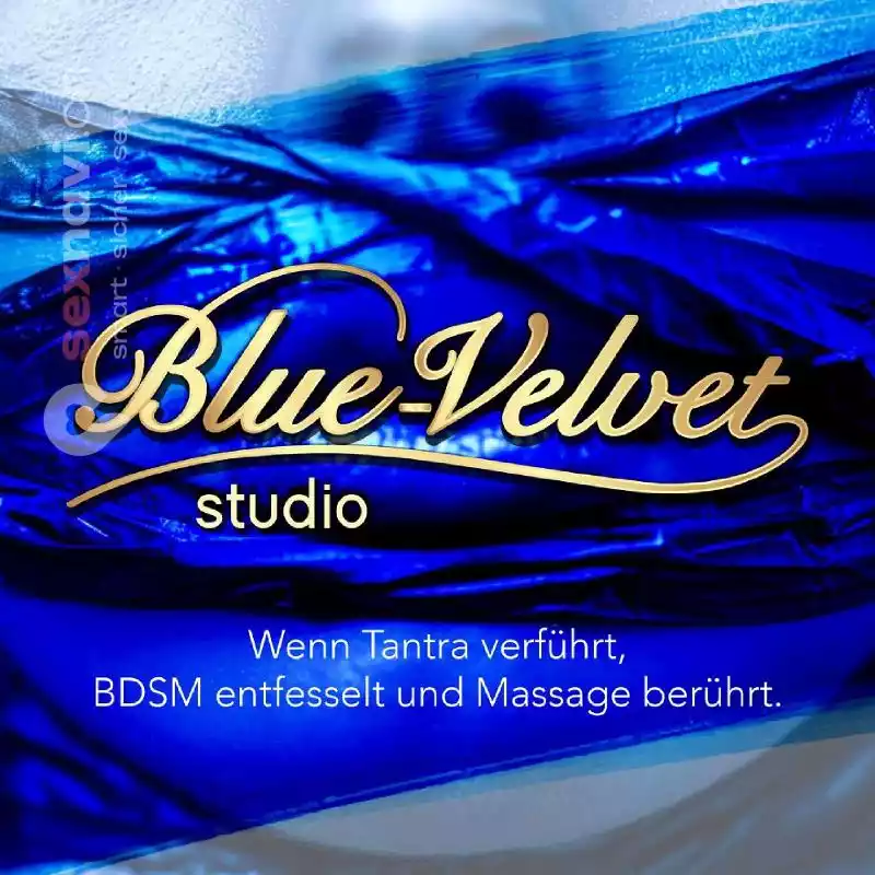 Blue Velvet Studio Blue Velvet Studio Zürich Stadt