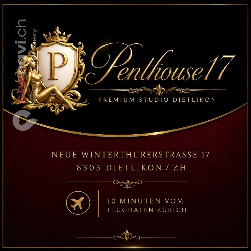 Penthouse 17 Penthouse 17 Z&uuml;rich Umgebung