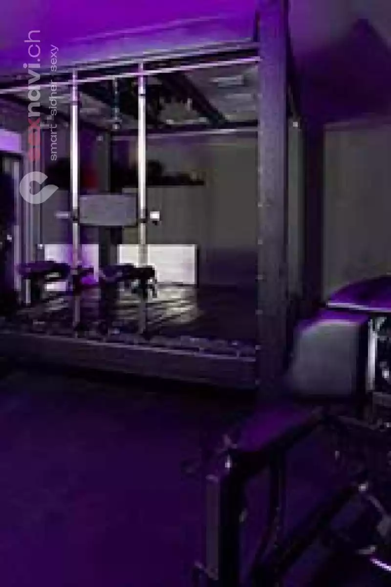 Villa Viktoria Villa Viktoria Basel