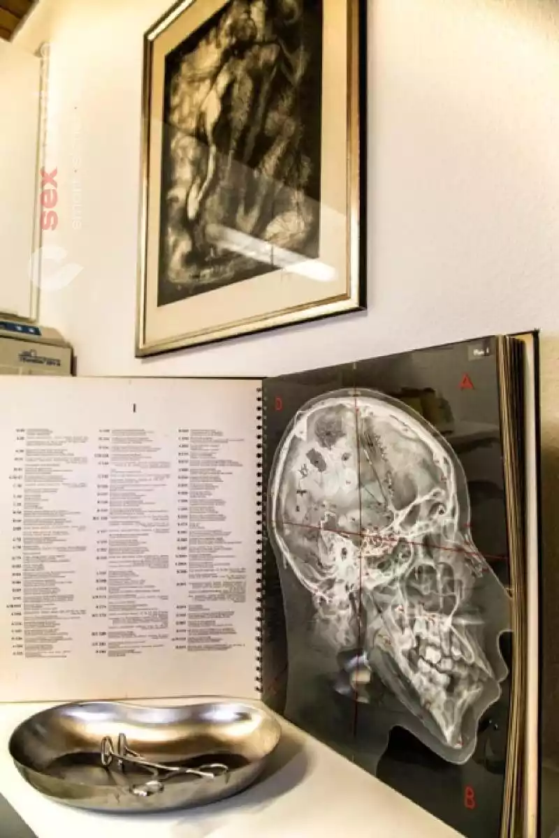 Villa Viktoria Villa Viktoria Basel