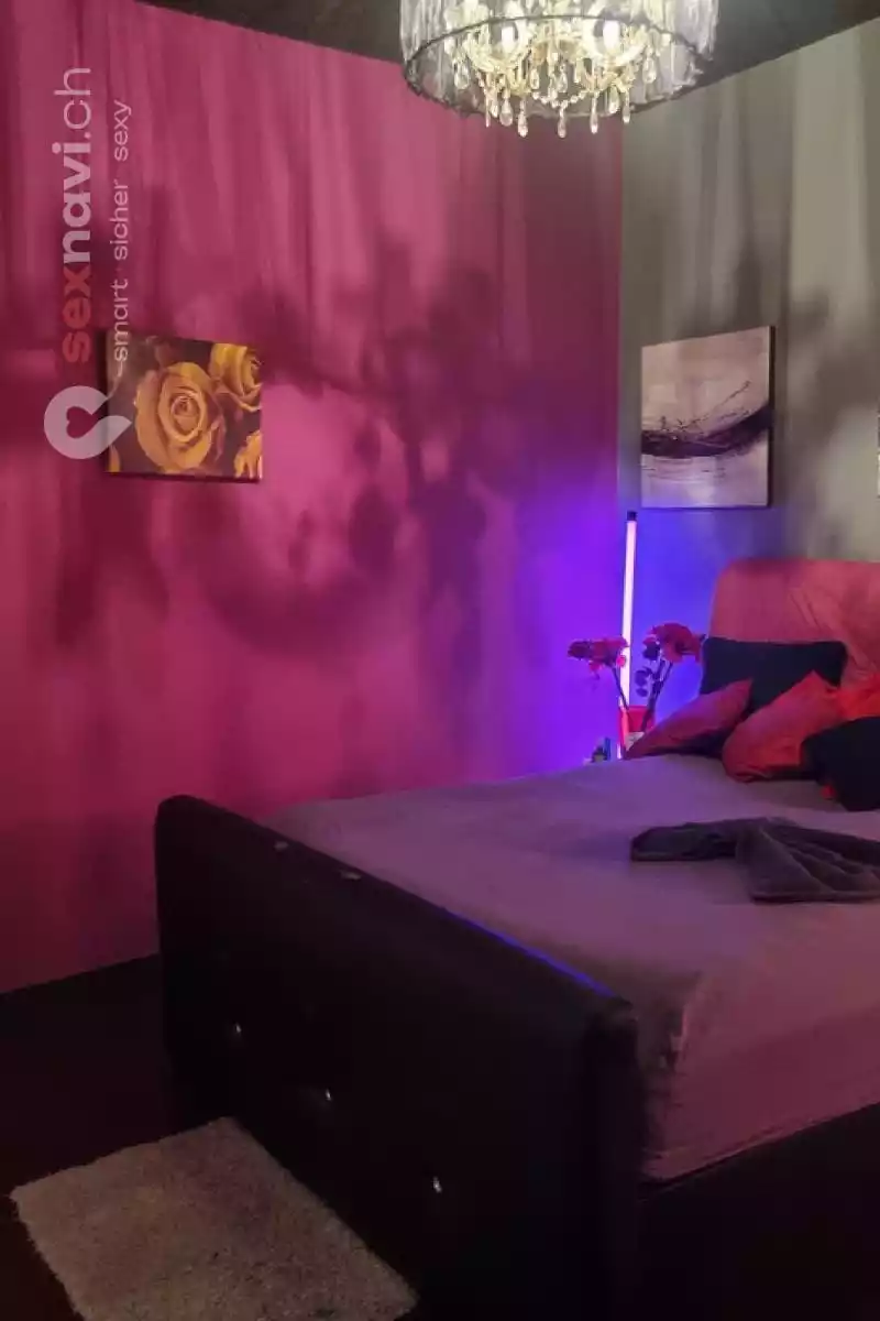 Dreispitz Club Dreispitz Club Basel