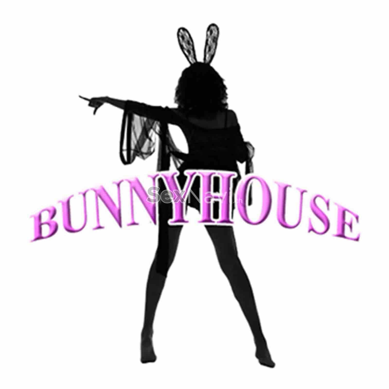 Bunny House Bunny House Solothurn