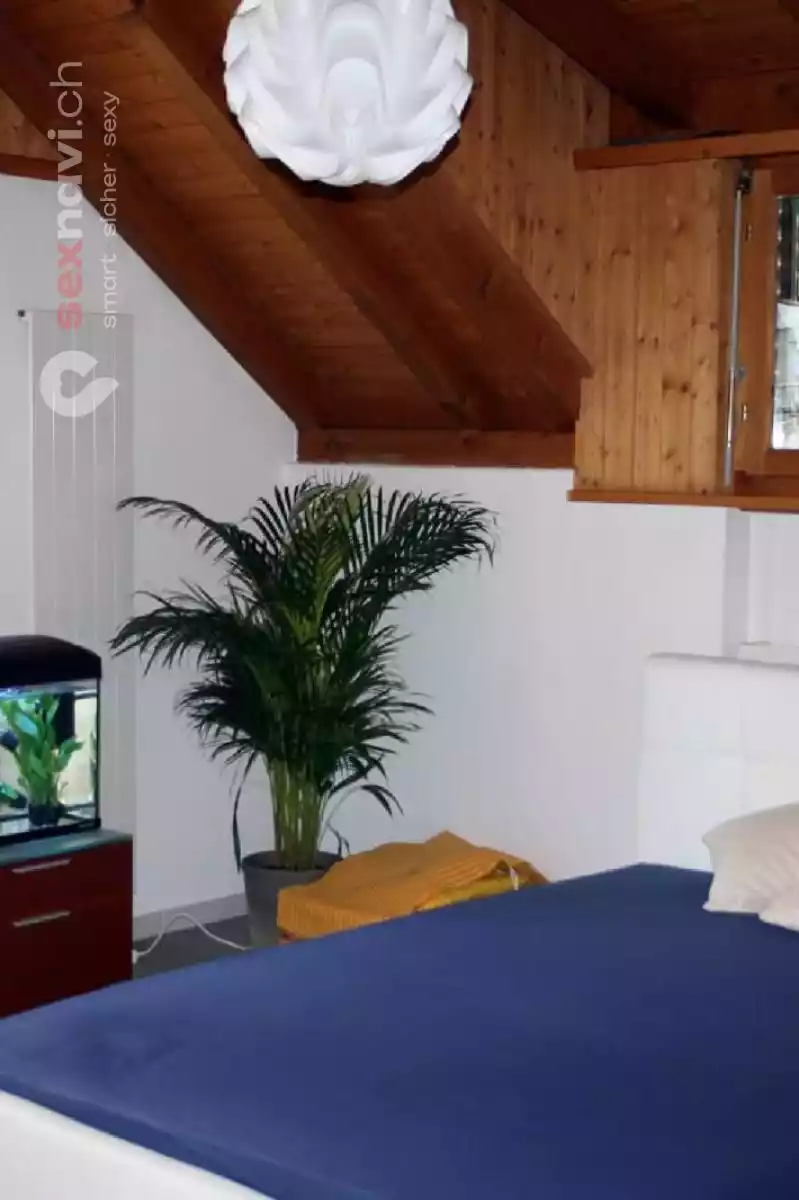 Candy Girls Candy Girls Zürich Umgebung