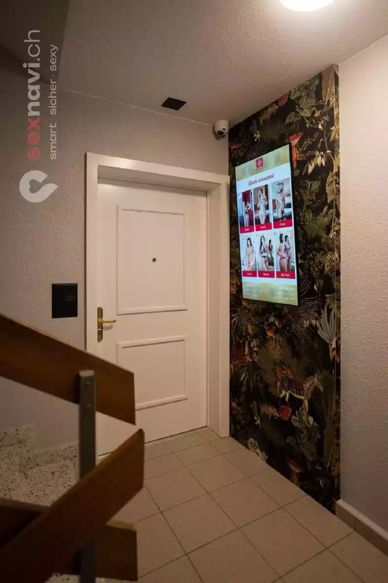 INSOMNIA INSOMNIA Solothurn