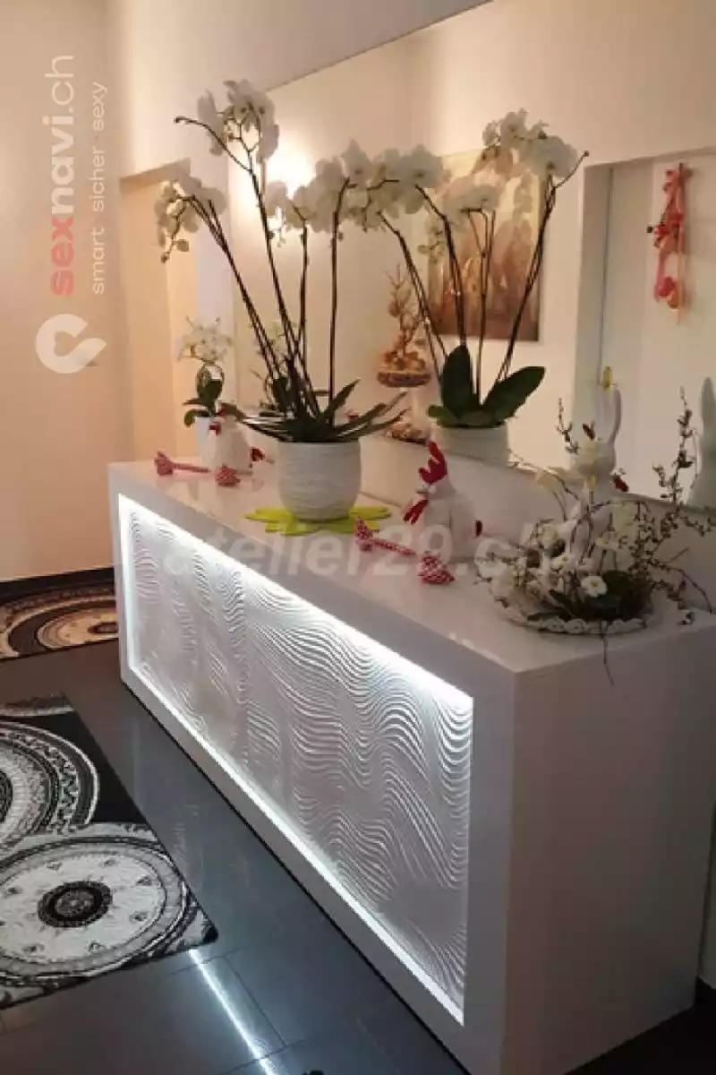 Atelier 29 Atelier 29 Luzern