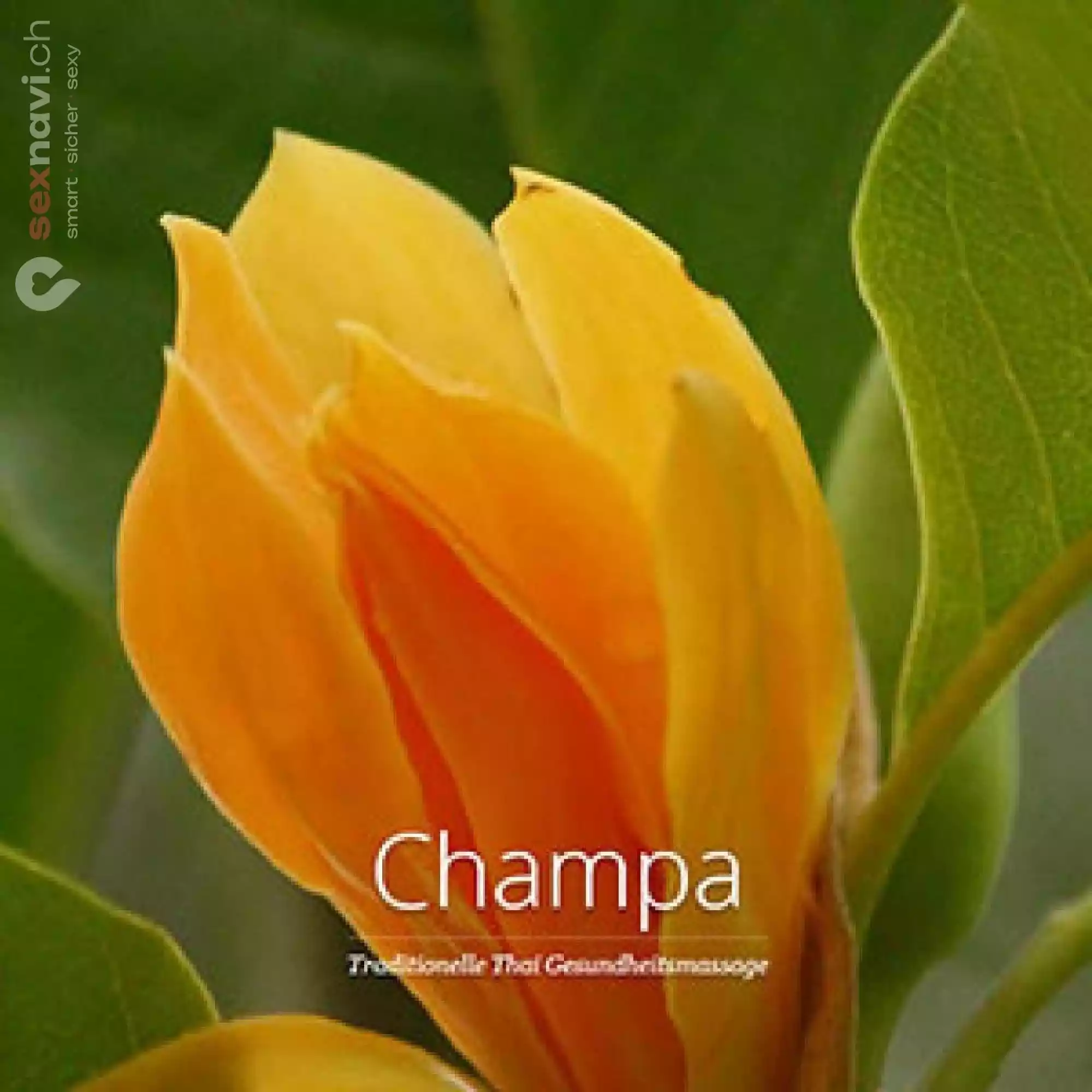 Champa Massagen Champa Massagen Aargau