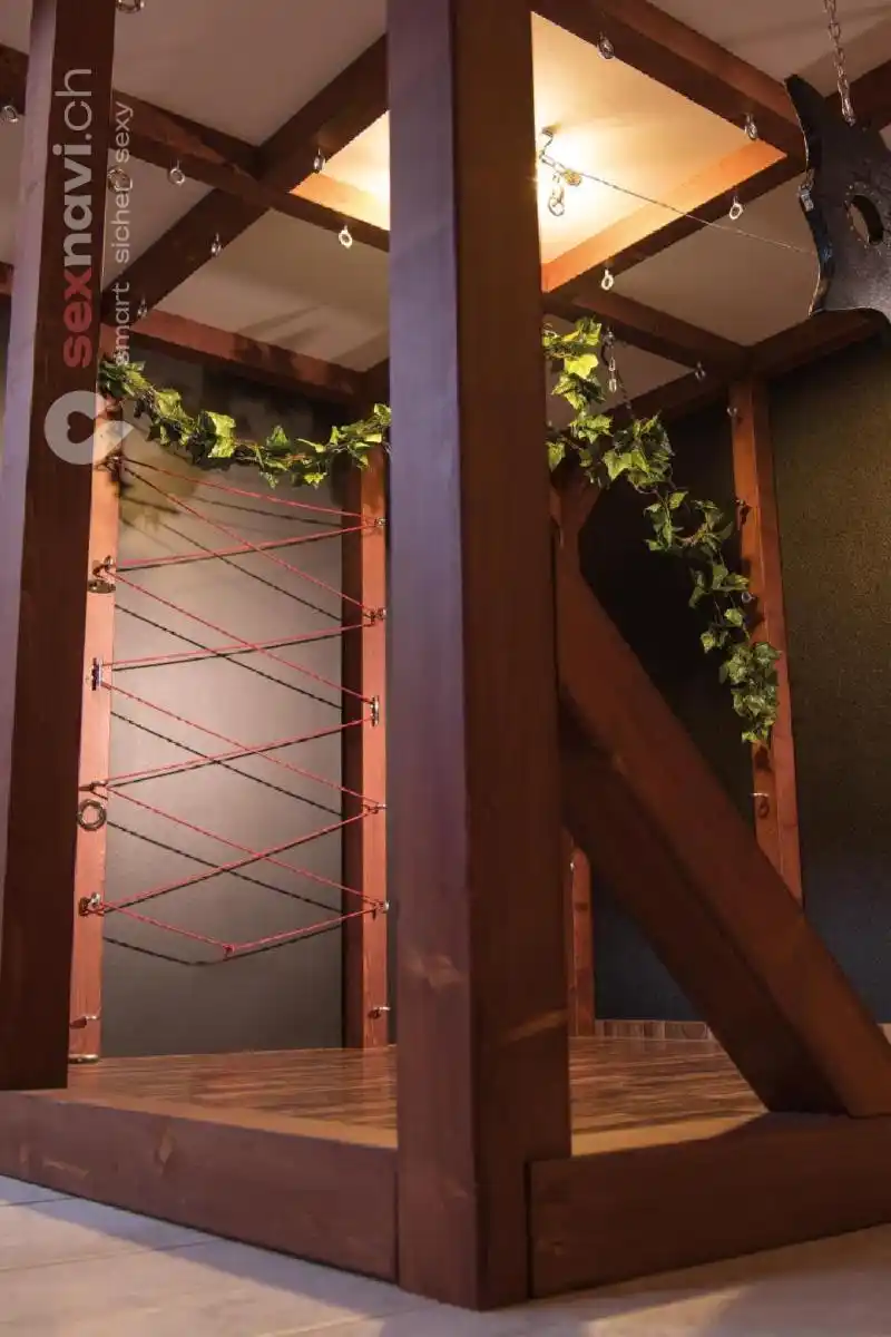 Asgard Liechtenstein Asgard Liechtenstein F&uuml;rstentum Liechtenstein