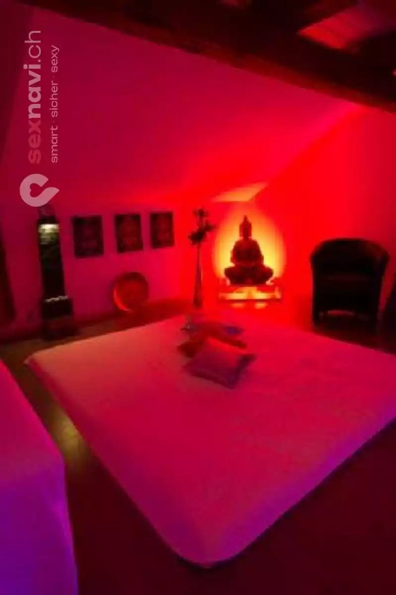 Goldencats Goldencats St.Gallen