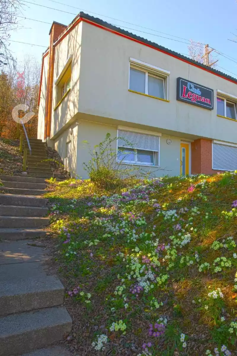 Club Leguan Club Leguan Schaffhausen