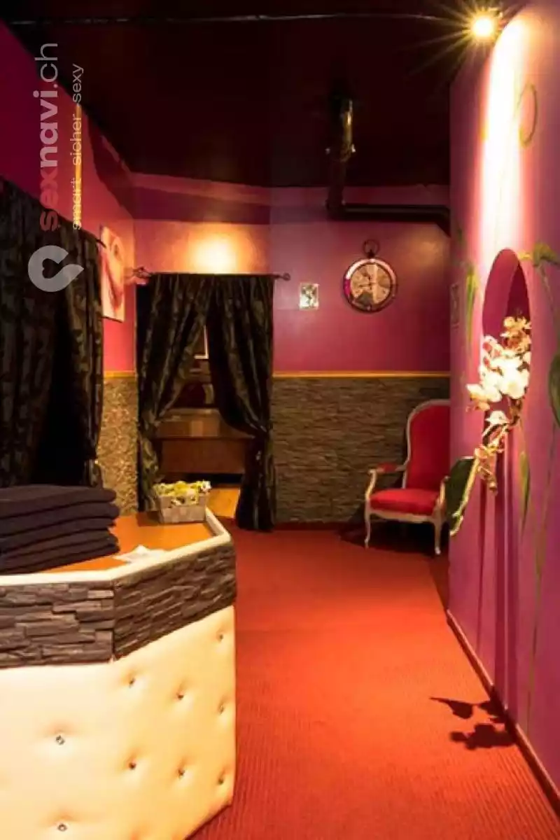 Club Paradiso Club Paradiso Luzern