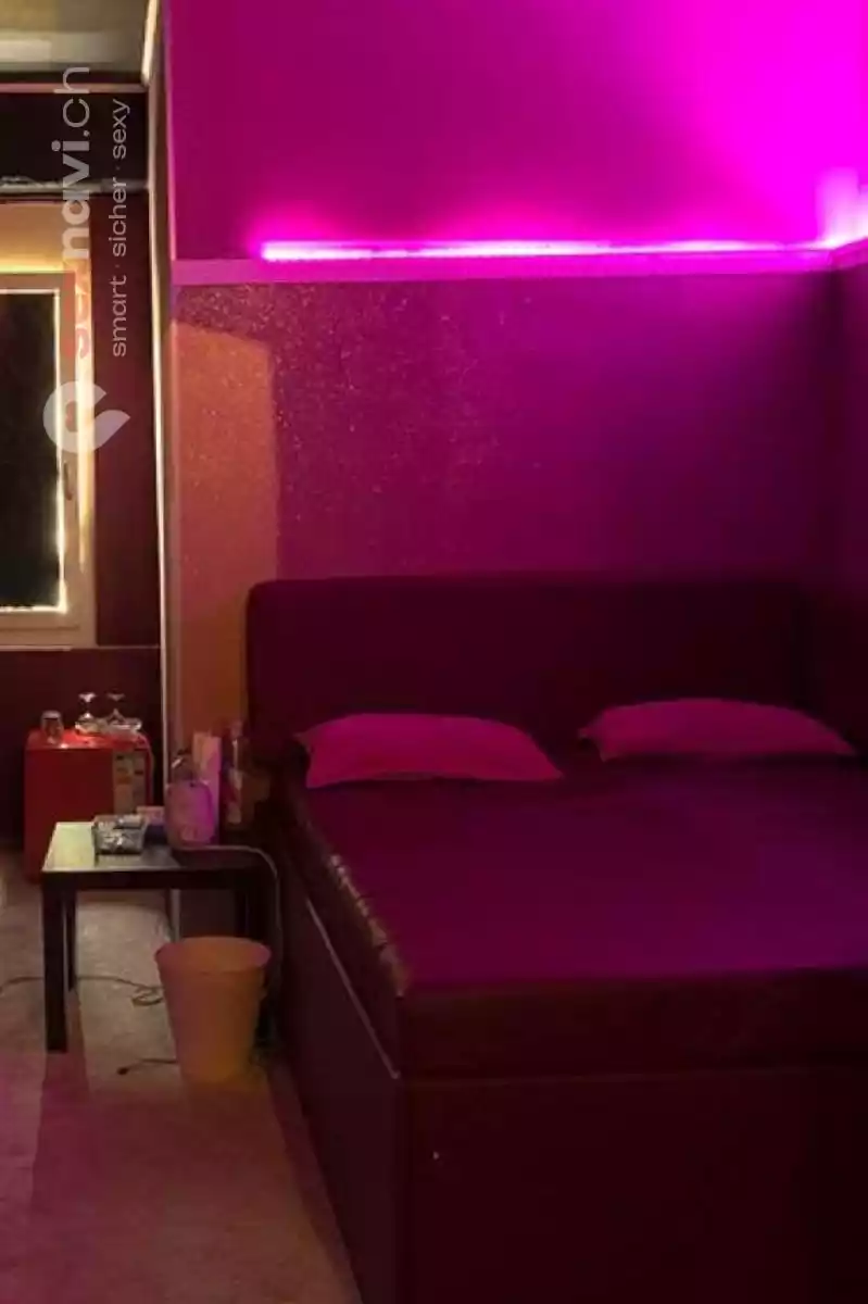 Club Paradiso Club Paradiso Luzern