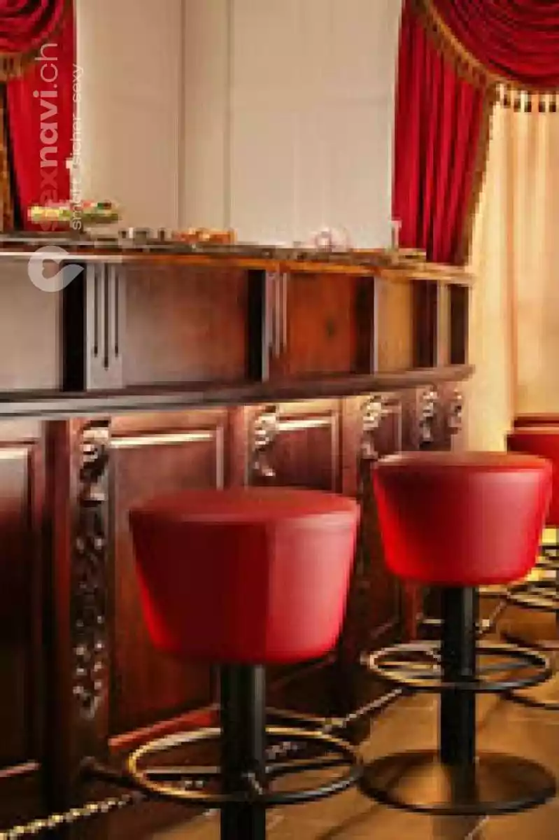 Villa 45 Villa 45 Zürich Umgebung