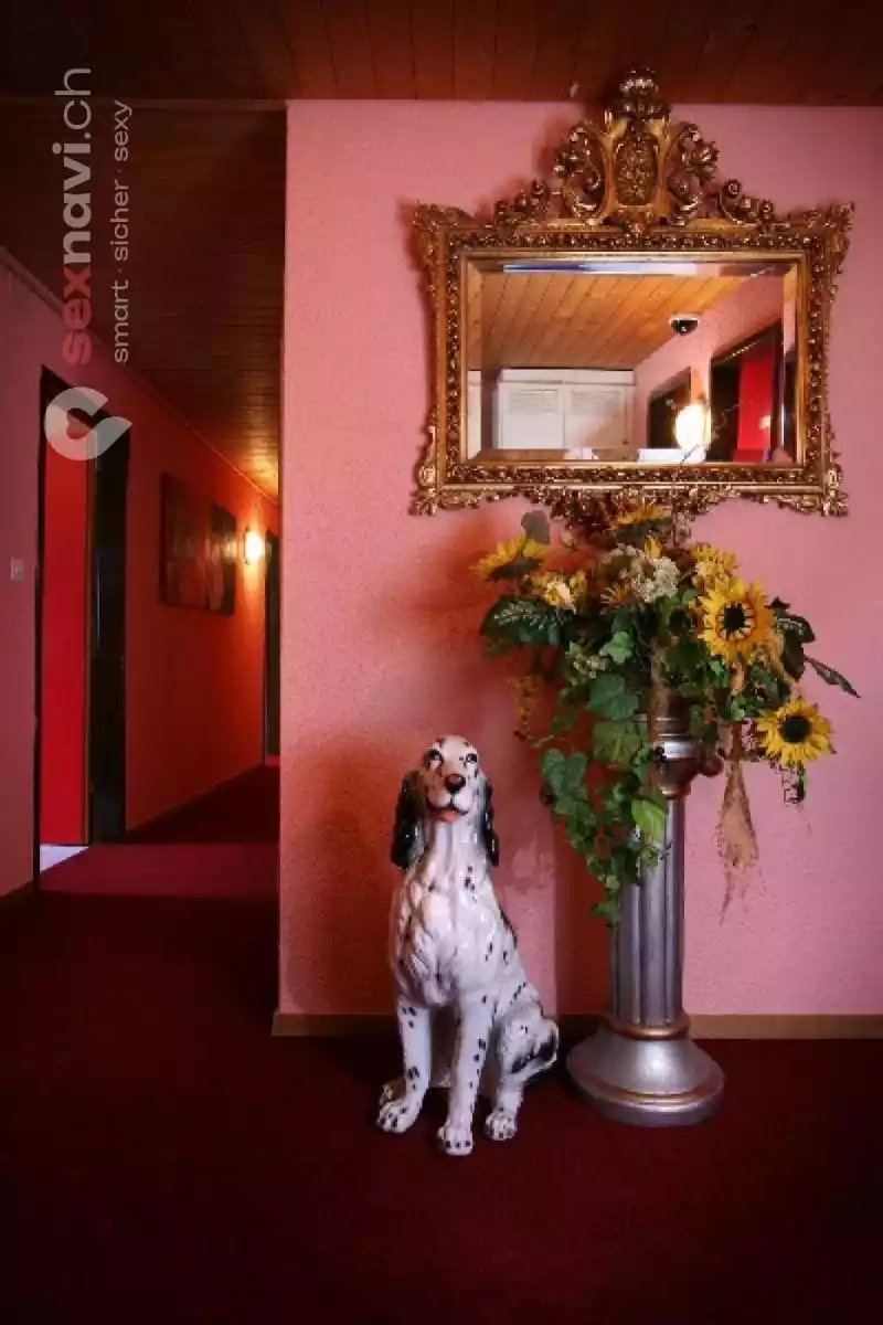 Red House Red House St.Gallen