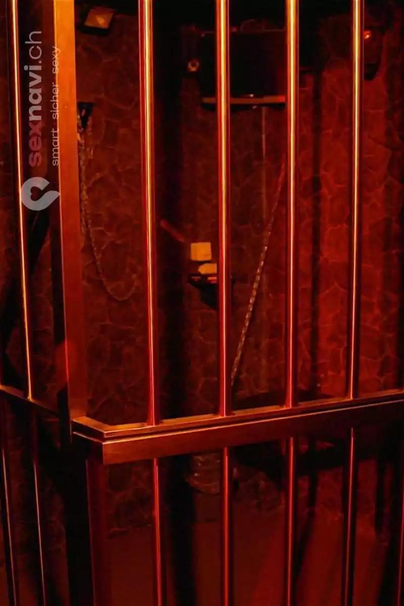 Cäsars Club Sauna Cäsars Club Sauna Zürich Umgebung