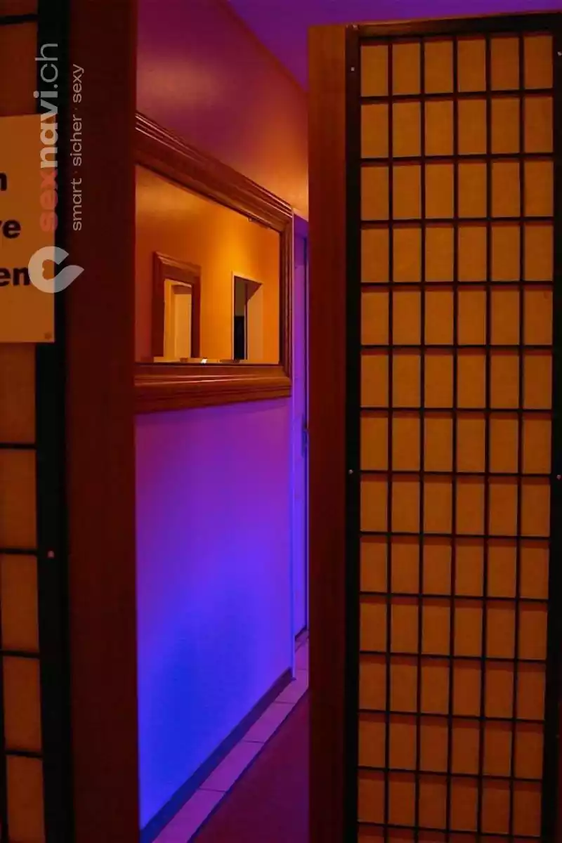 Cäsars Club Sauna Cäsars Club Sauna Zürich Umgebung