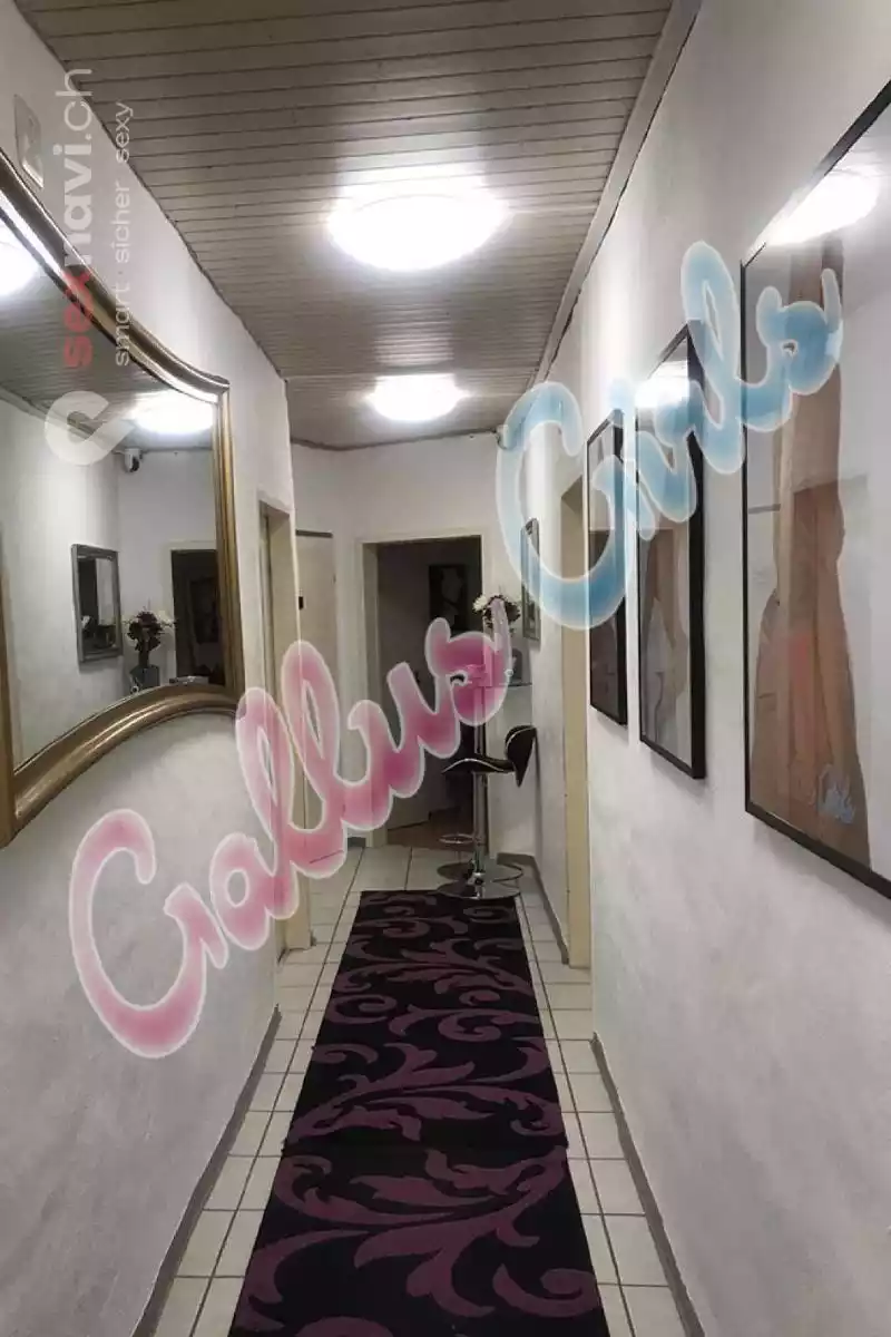 Gallus Girls Gallus Girls St.Gallen