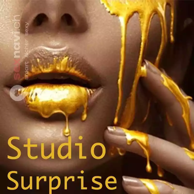 Studio SURPRISE Studio SURPRISE Bern Stadt