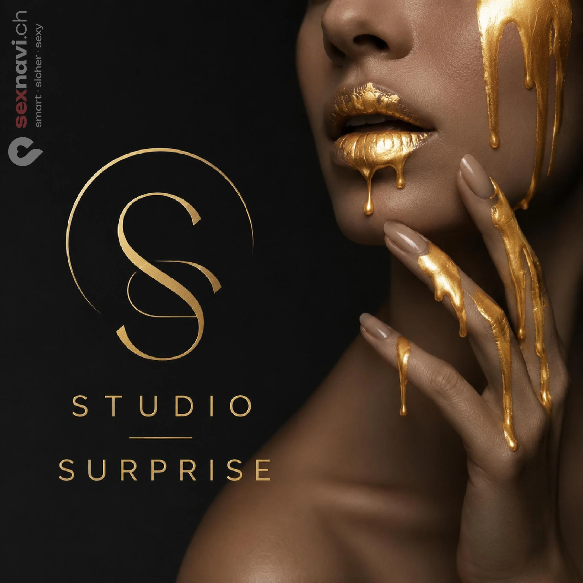 Studio SURPRISE Studio SURPRISE Bern Stadt