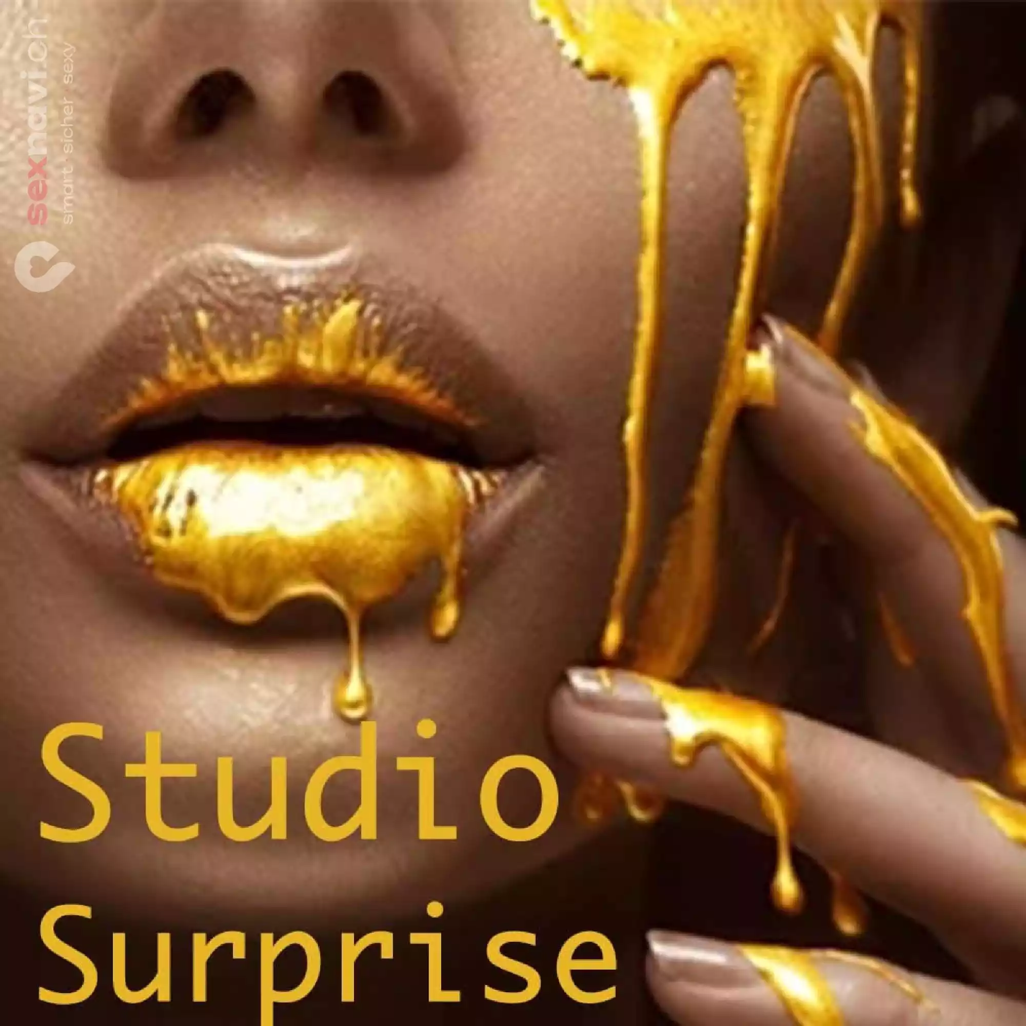 Studio SURPRISE Studio SURPRISE Bern Stadt