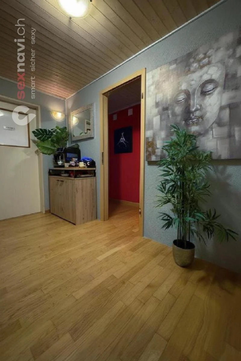 Salon Elektra Tagelswangen Salon Elektra Tagelswangen Z&uuml;rich Umgebung
