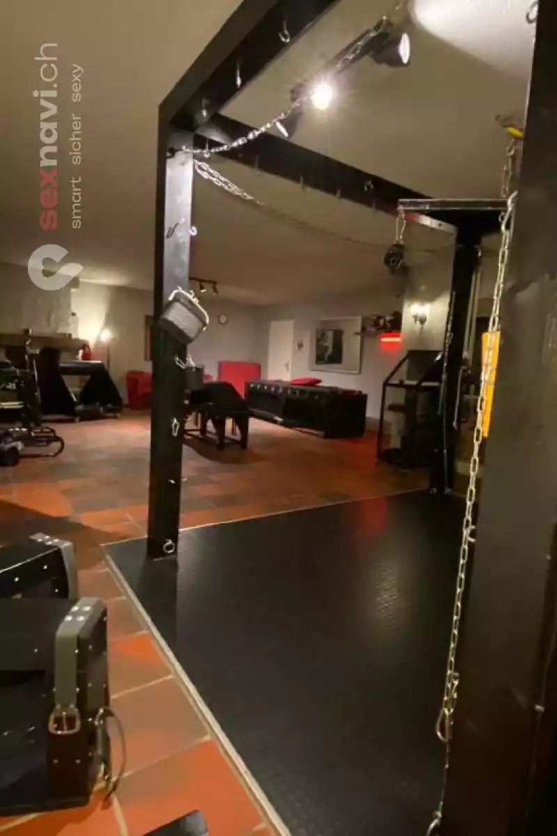 thePENTHOUSE thePENTHOUSE Zürich Umgebung