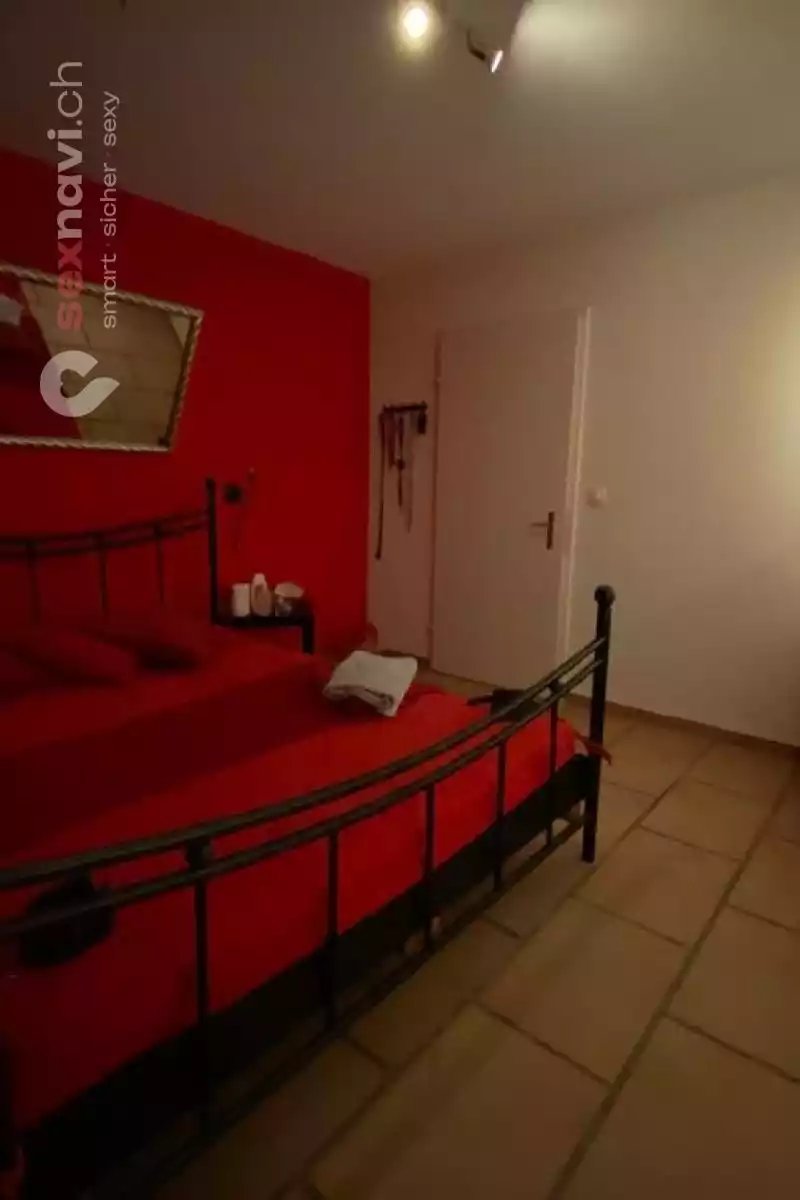 thePENTHOUSE thePENTHOUSE Zürich Umgebung