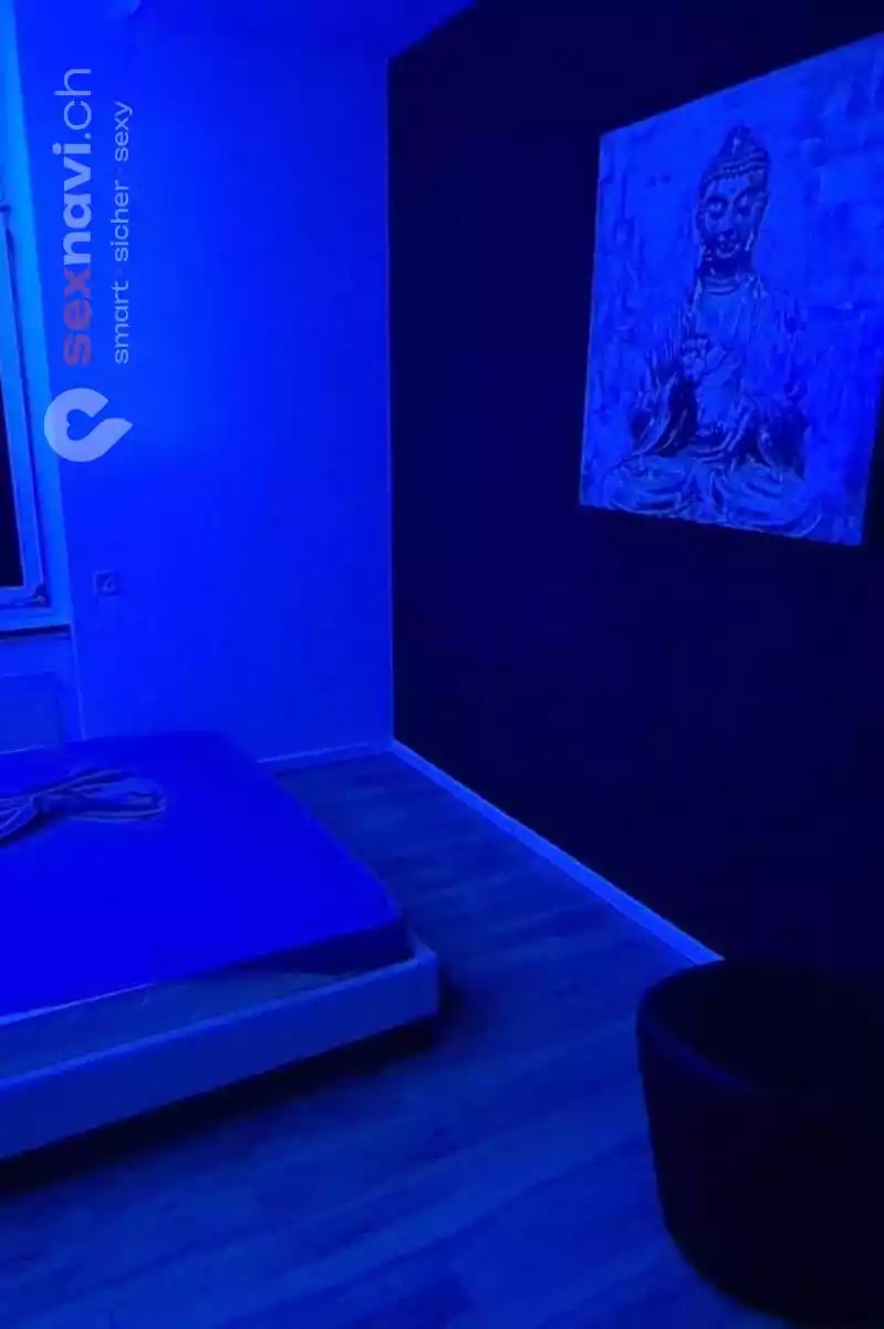 City 48 City 48 St.Gallen