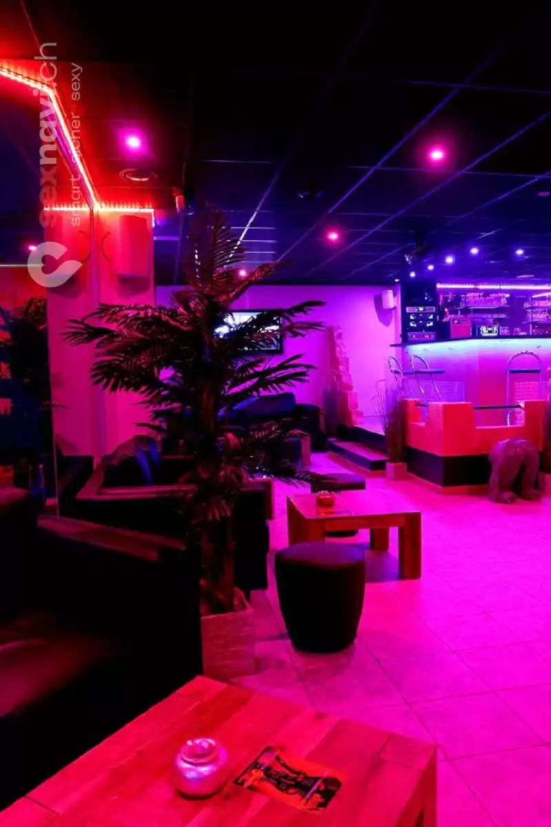 Pascha Basel Pascha Basel Basel