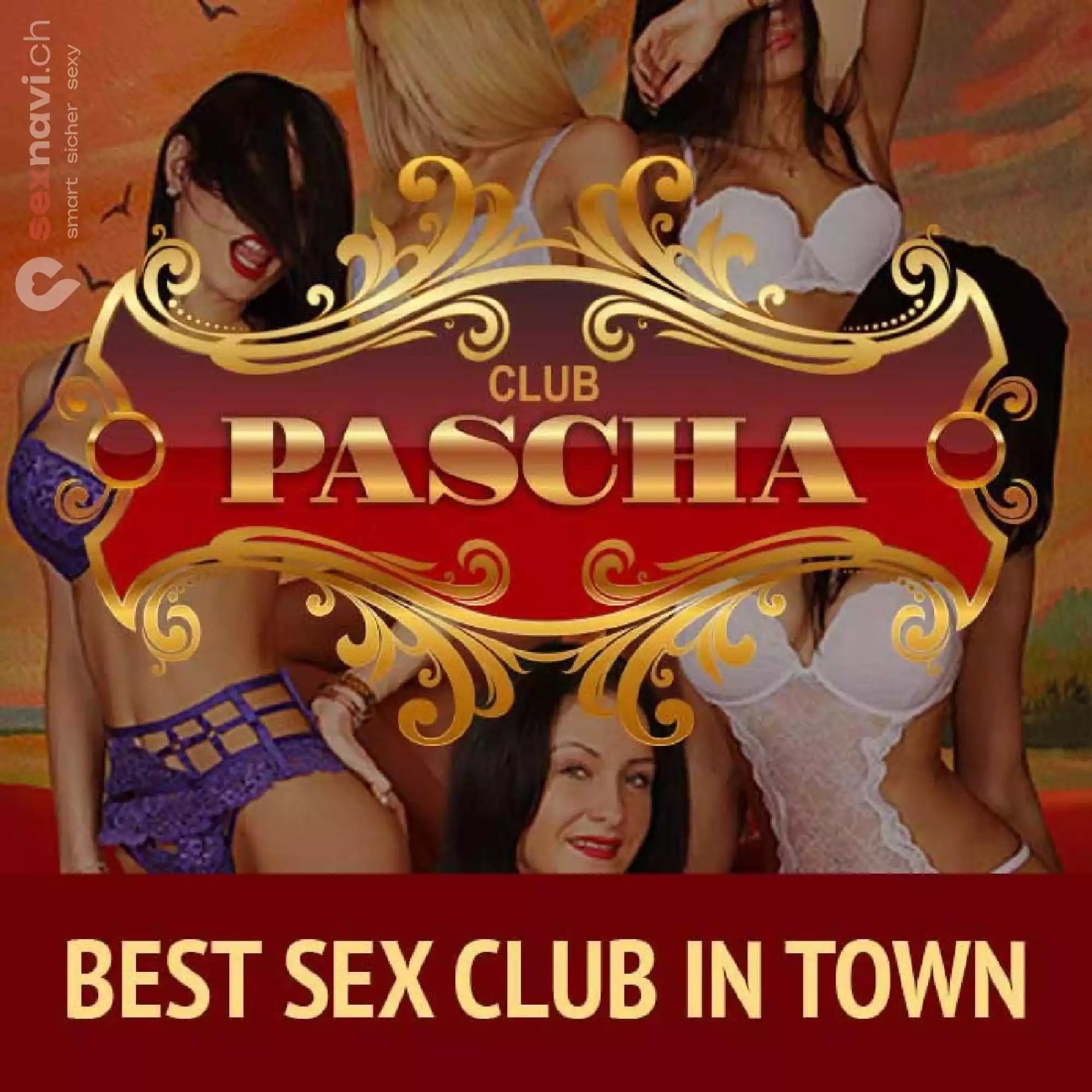 Club Pascha Club Pascha Zürich Stadt