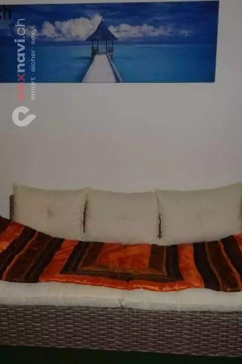 Starways Party Oase Starways Party Oase Zürich Umgebung