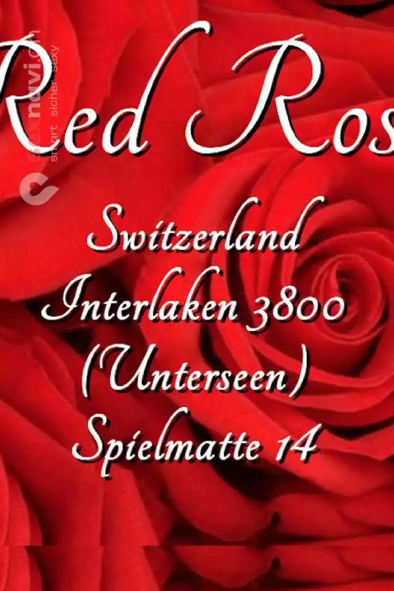 Red Roses 2. OG Red Roses 2. OG Bern Umgebung