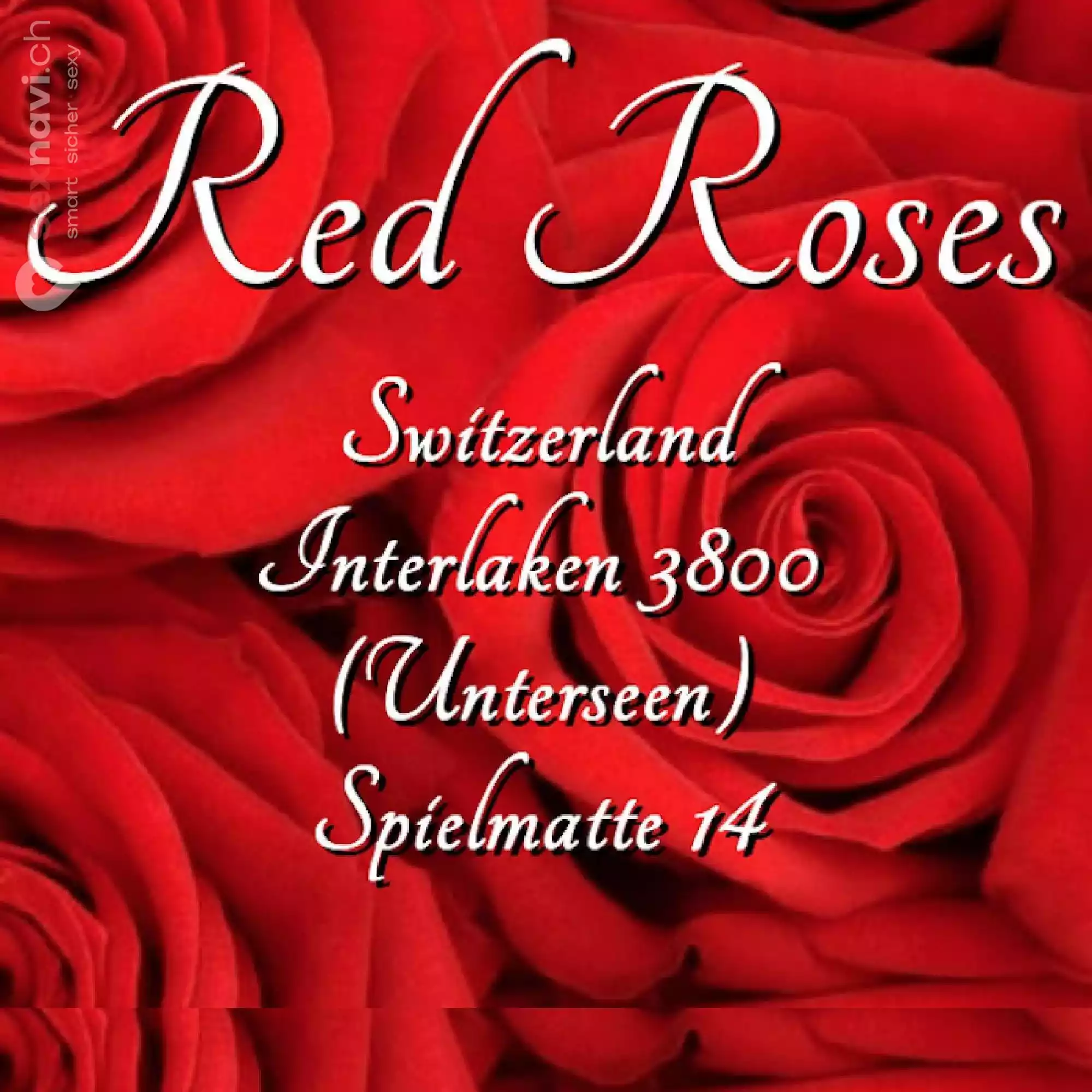 Red Roses 2. OG Red Roses 2. OG Bern Umgebung