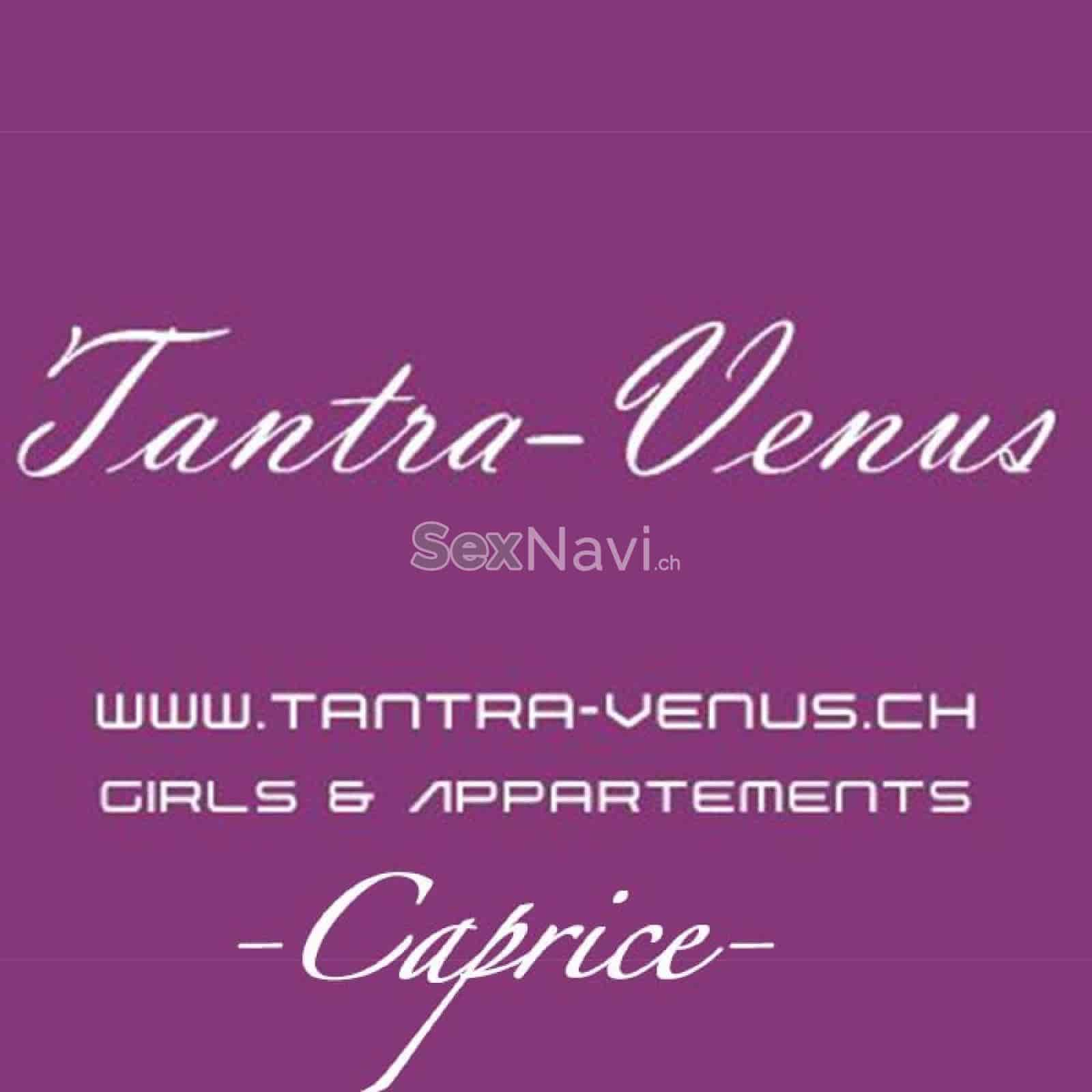 Tantravenus Caprice Tantravenus Caprice Aargau