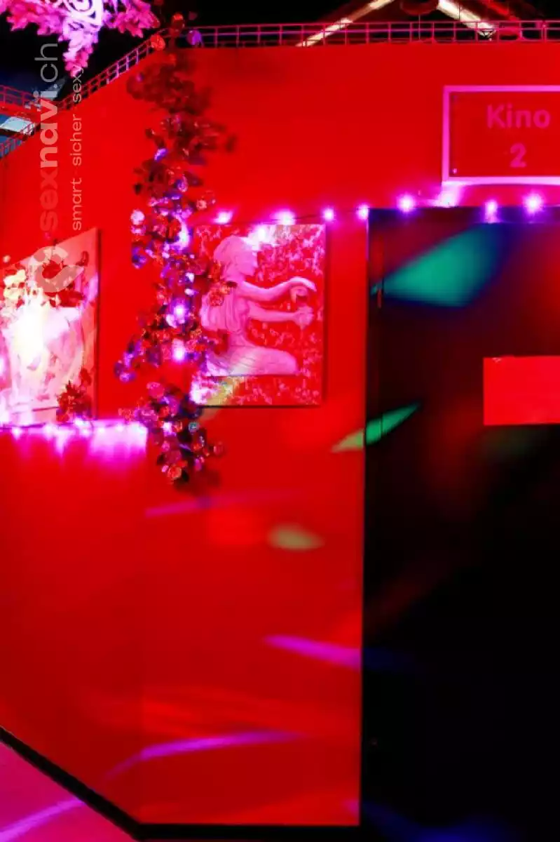 Cruising World Cruising World Luzern