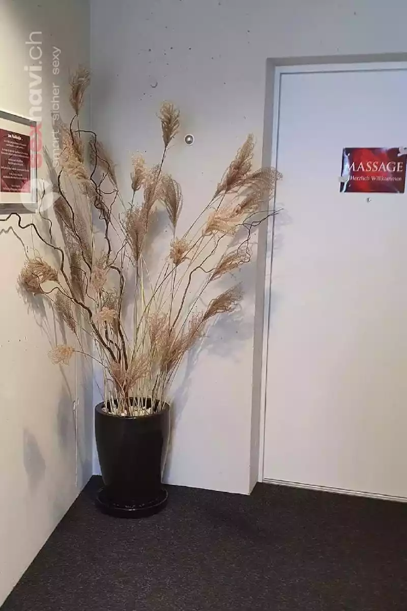 Goldlasur Massage Goldlasur Massage Luzern