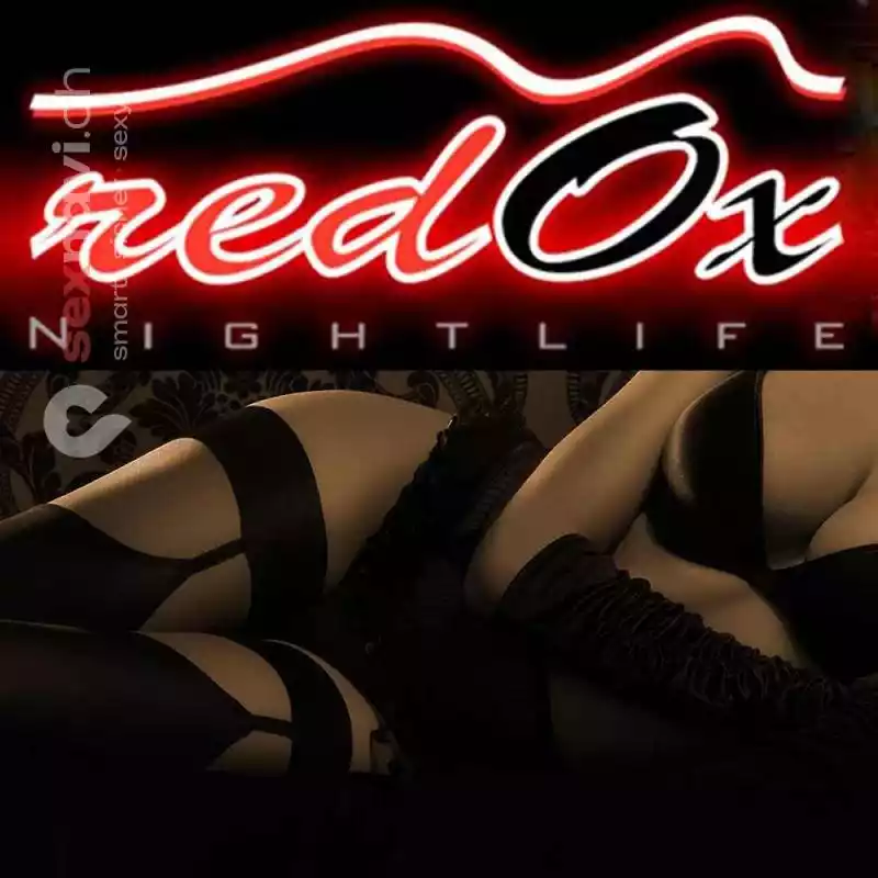 Red OX Red OX Bern Umgebung