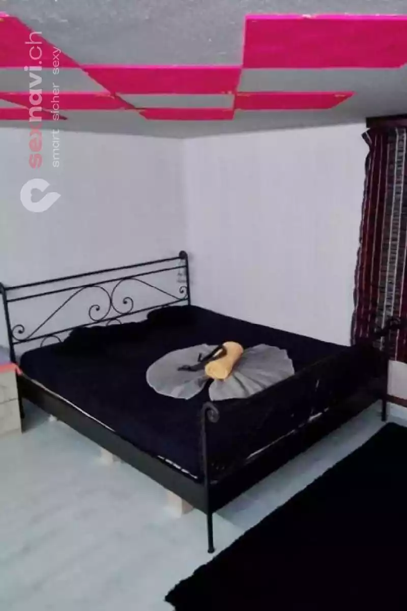 Budapest Girls Budapest Girls Zürich Umgebung