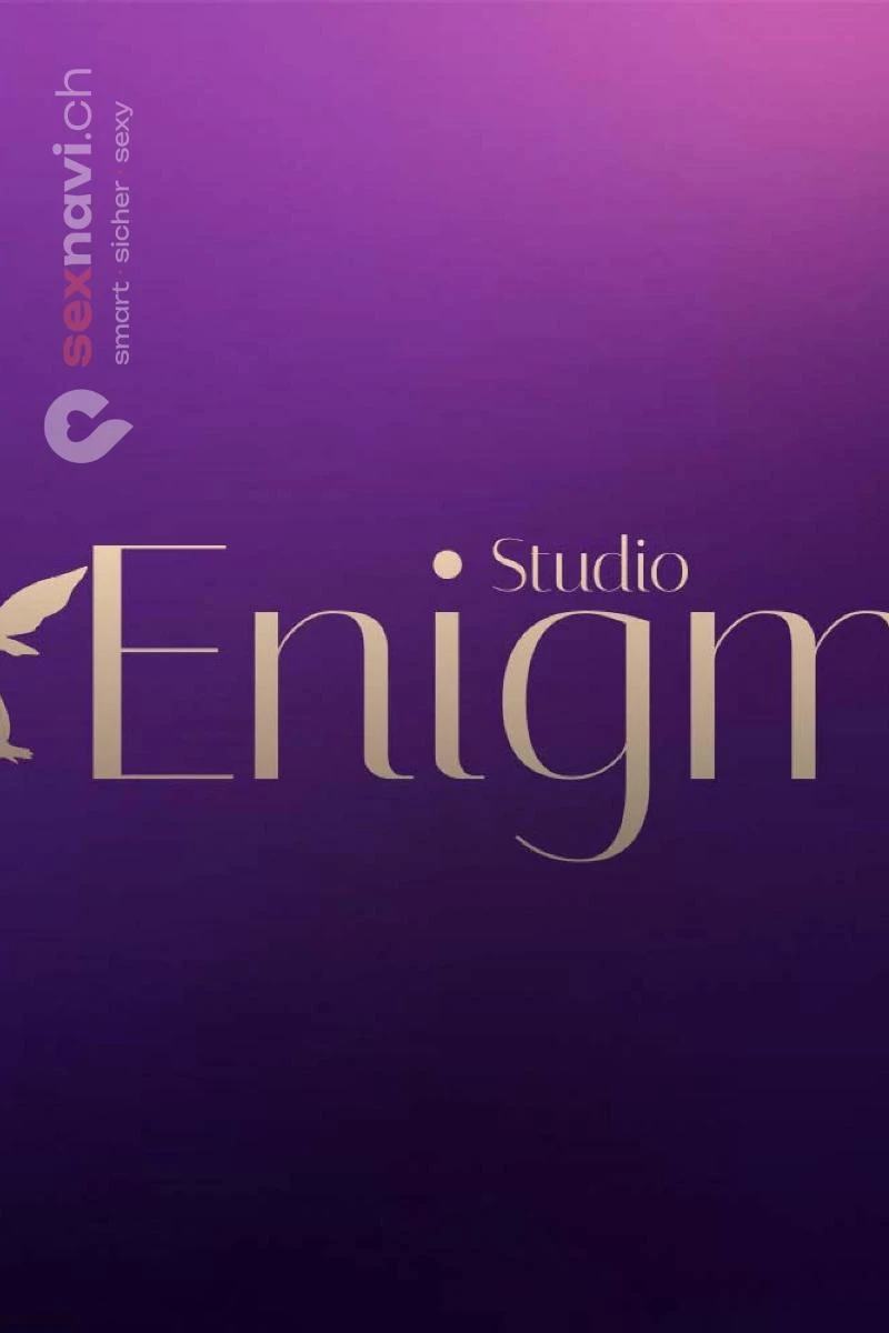 Studio Enigma Studio Enigma Z&uuml;rich Umgebung