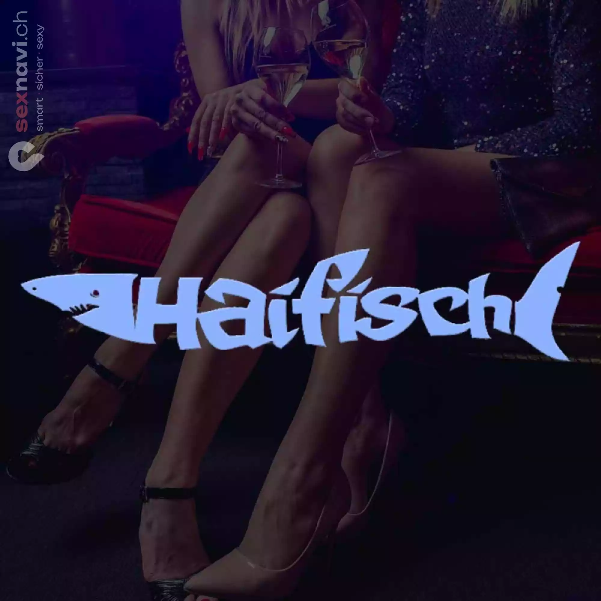 Haifisch Haifisch Zürich Stadt