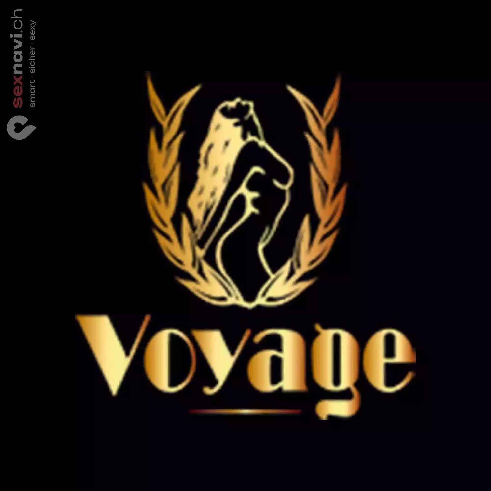 Voyage Voyage Salzburg