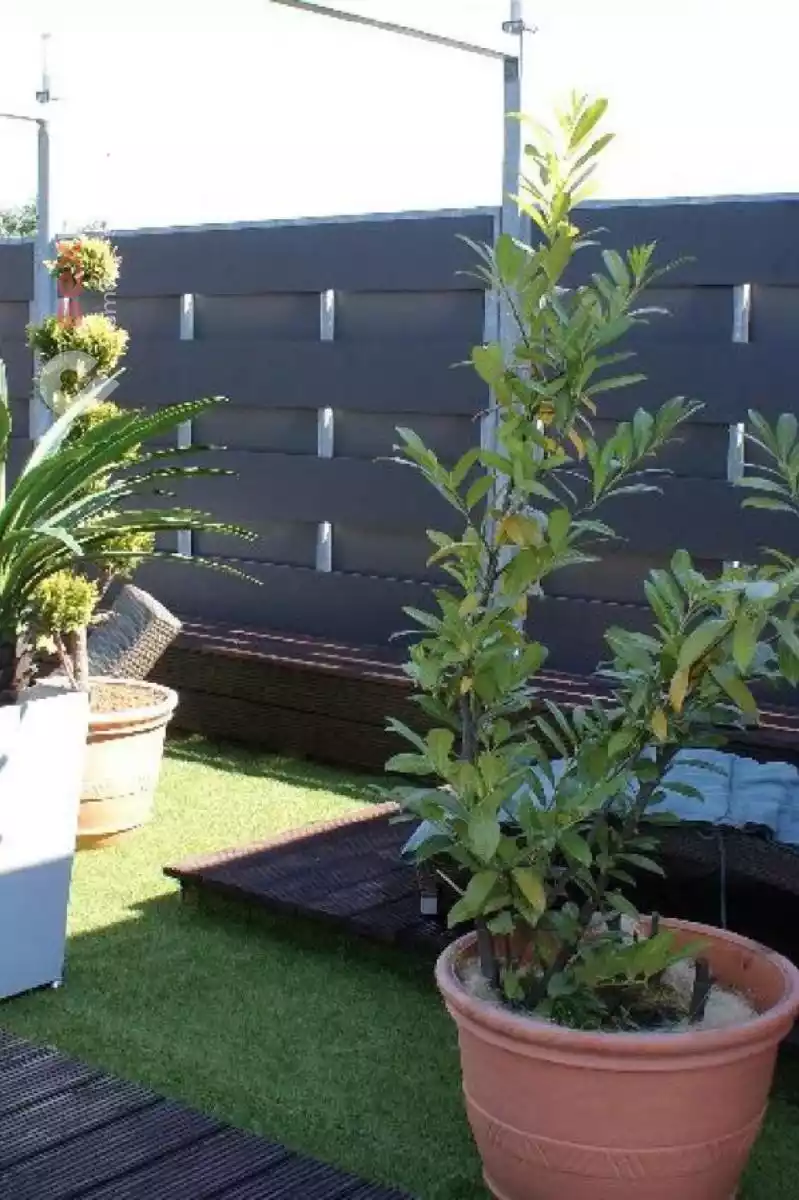 Acapulco Gold Acapulco Gold Nordrhein-Westfalen