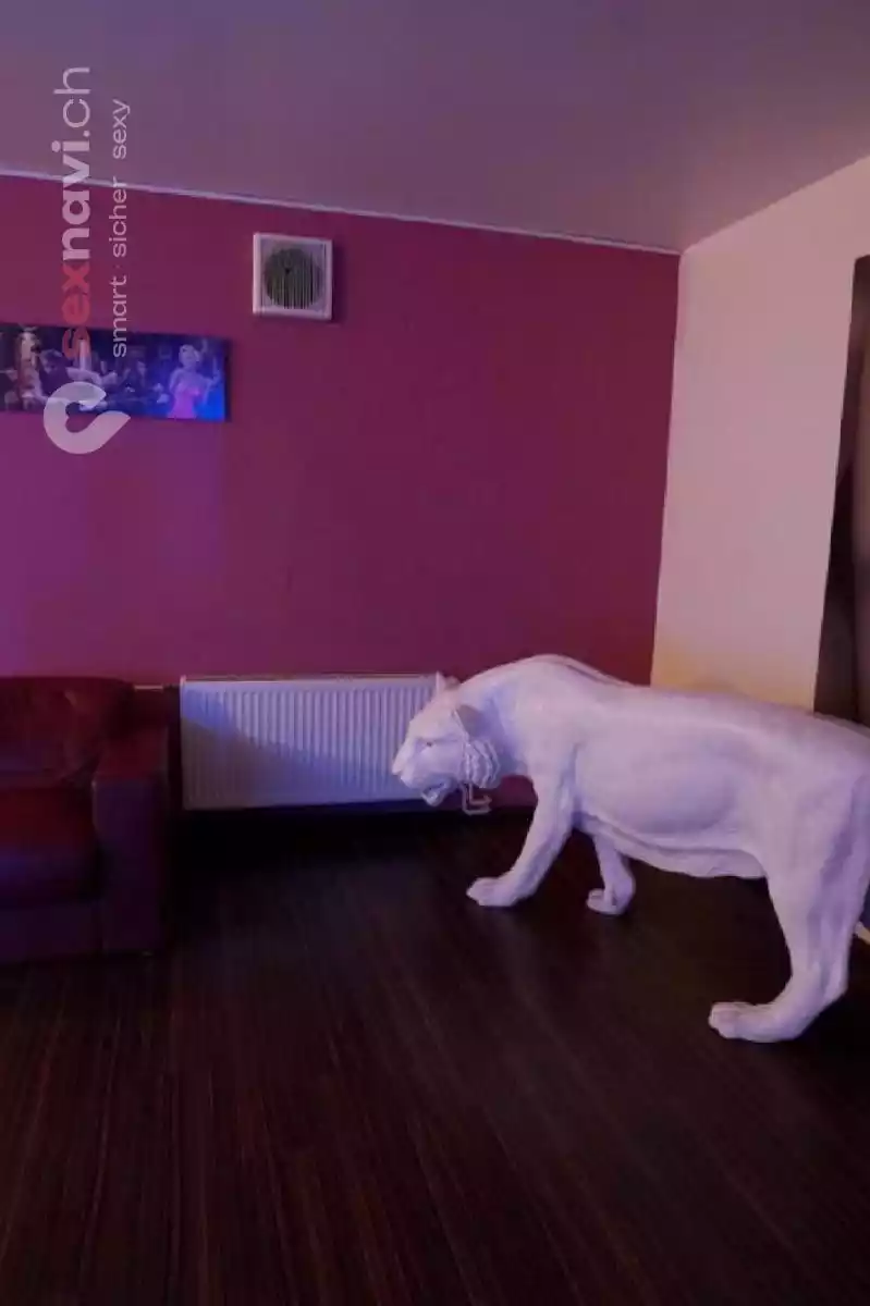 Acapulco Prime Acapulco Prime Nordrhein-Westfalen