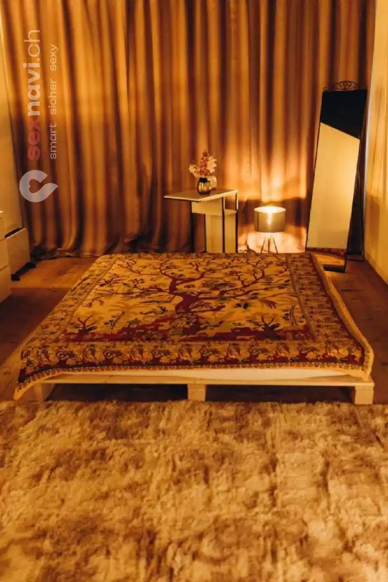 Maxim Massage Maxim Massage Zürich Umgebung