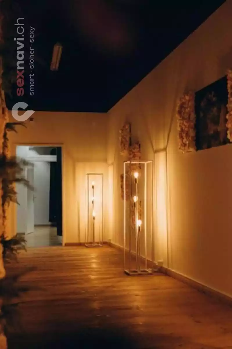 Maxim Massage Maxim Massage Zürich Umgebung