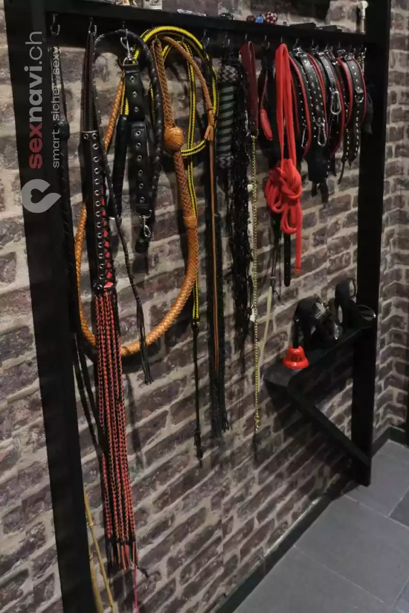 Daucum Baculum Daucum Baculum Solothurn