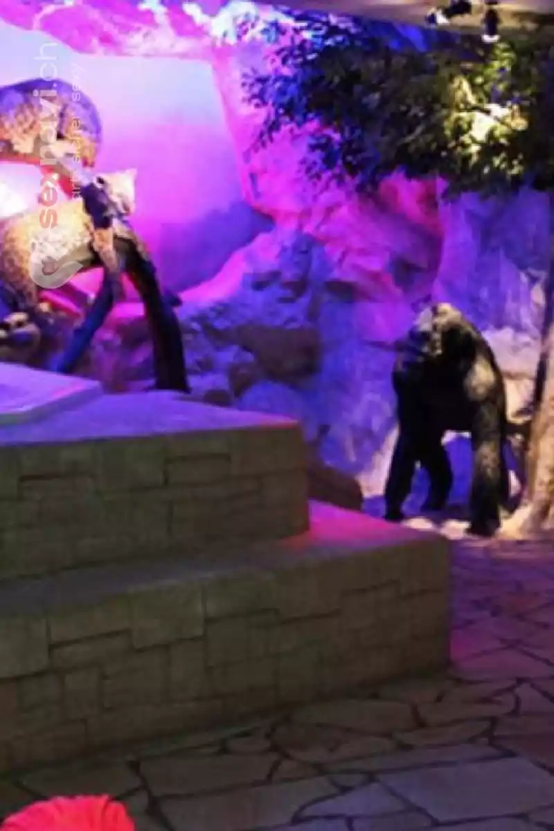 Crazy Jungle Crazy Jungle Bayern