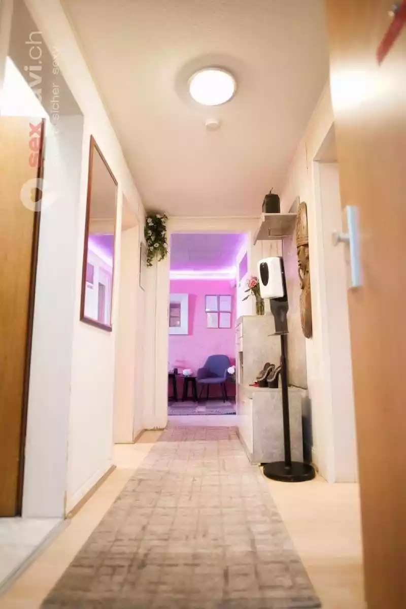 Haus Kitty Haus Kitty Nordrhein-Westfalen