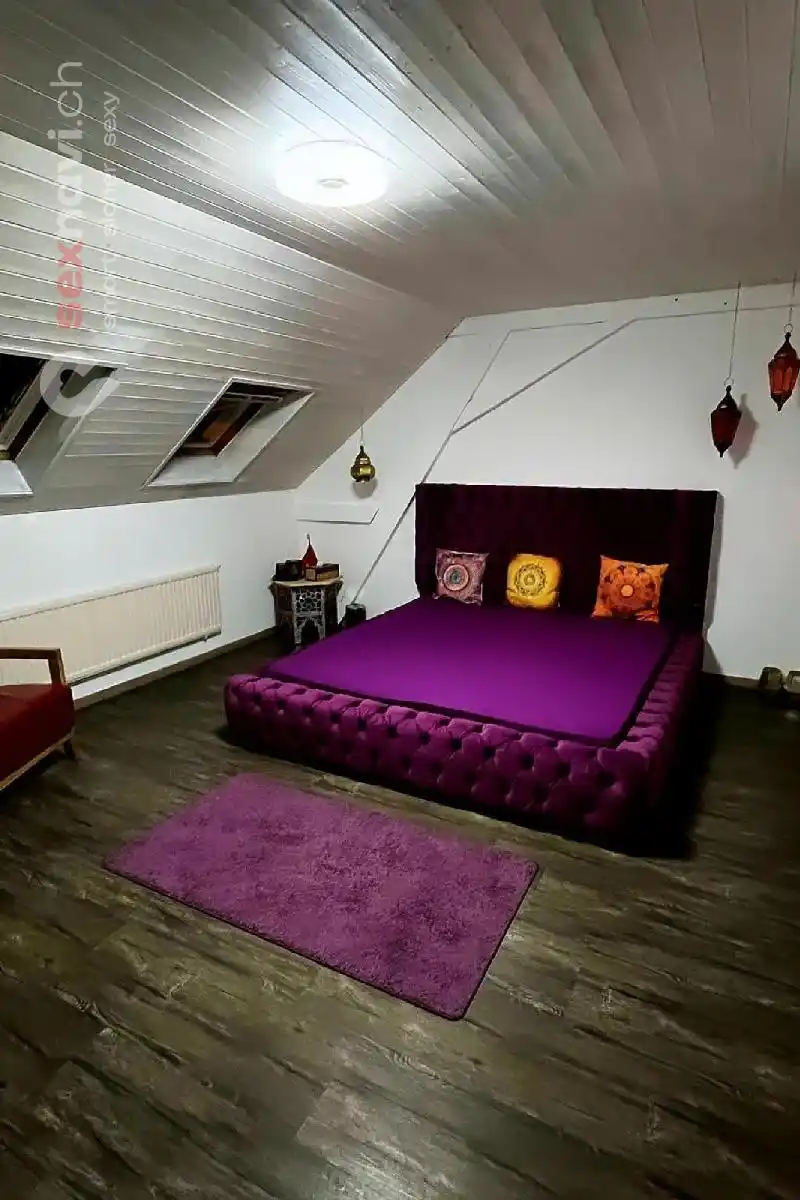 Studio abzugeben Komplettes Haus 3.000 CHF/M Schweiz, Solothurn, Trimbach