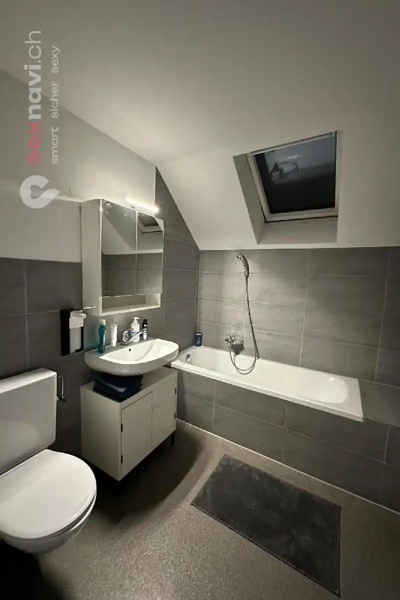 Studio abzugeben Komplettes Haus 3.000 CHF/M Schweiz, Solothurn, Trimbach