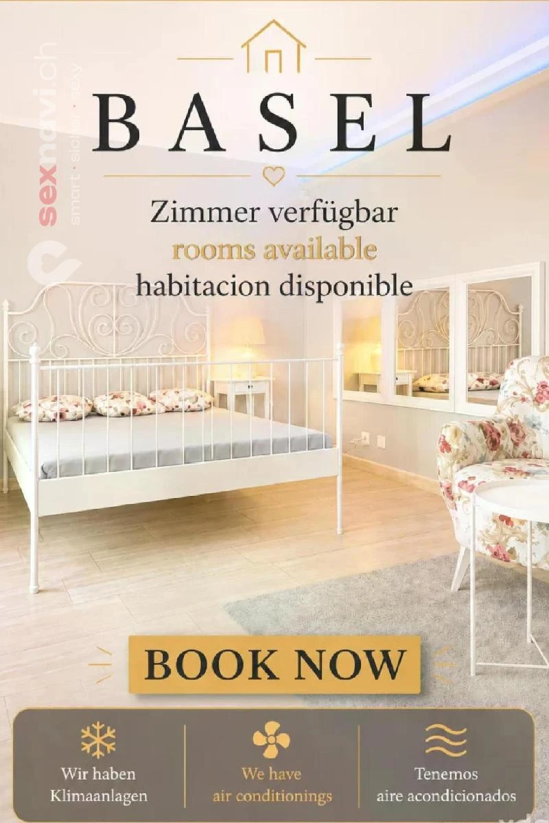 Top Location Penthouse in Basel Basel, Basel, Schweiz